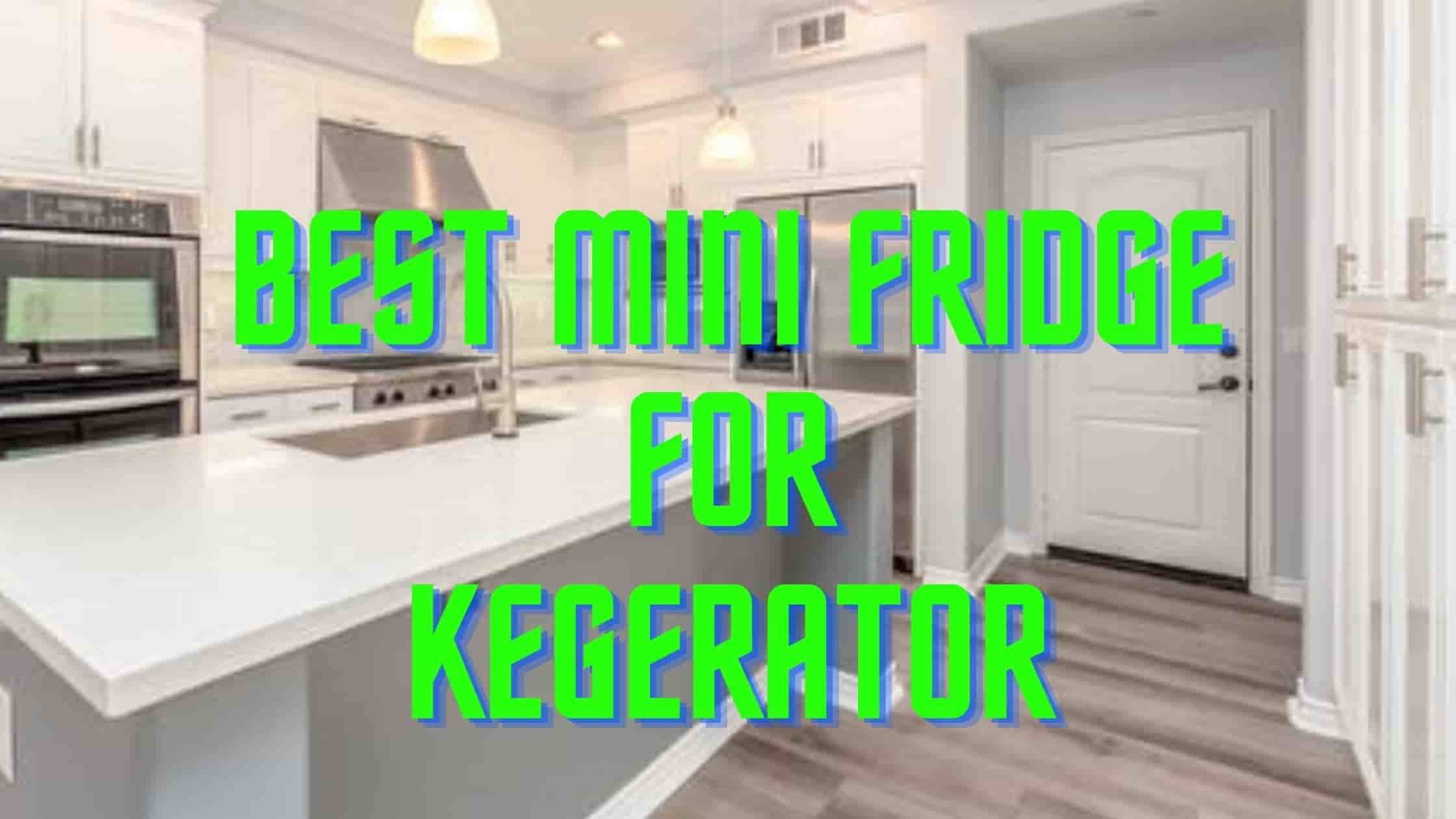 Top 5 Best Mini Fridge For Kegerator Conversion 2021 Reviews Guide